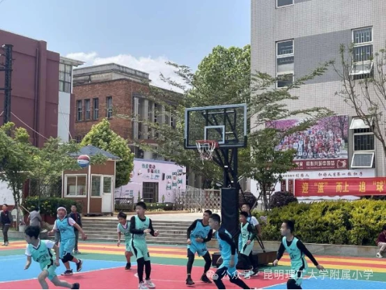 如何为残疾人士提供适合的篮球辅导_1